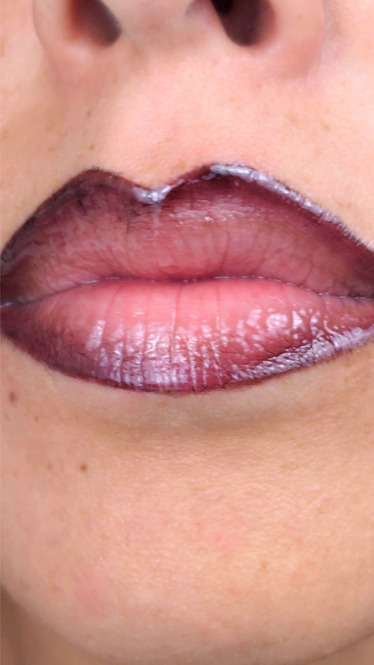 Mocha High Shine | Deep Brown Ombré Lip System