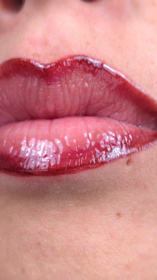 Honey High Shine | Warm Cinnamon Red Ombré Lip System