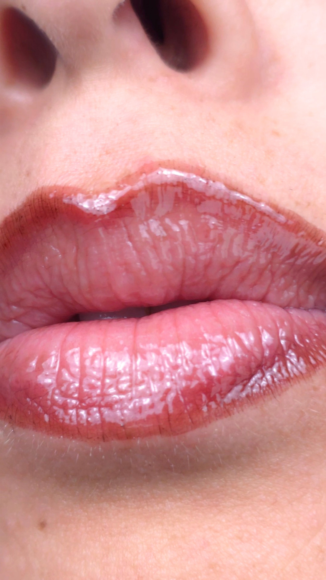 Veil High Shine | Warm Earthy Brown Ombré Lip System
