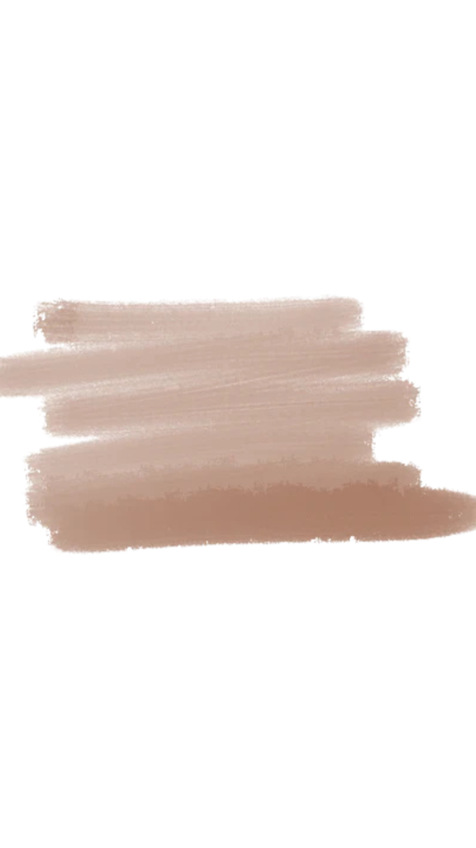 Veil Plumping | Warm Earthy Brown Ombré Lip System