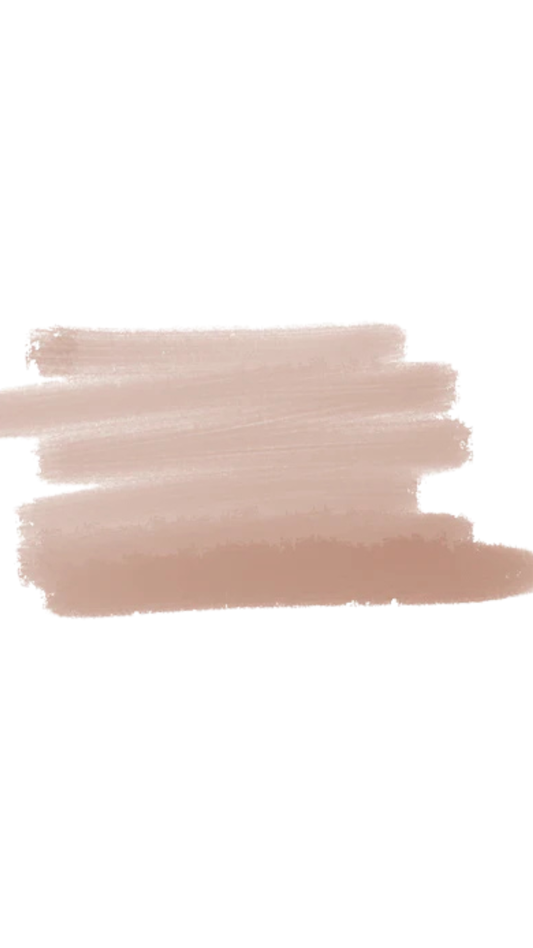 Bare Plumping | Light Brown Ombré Lip System