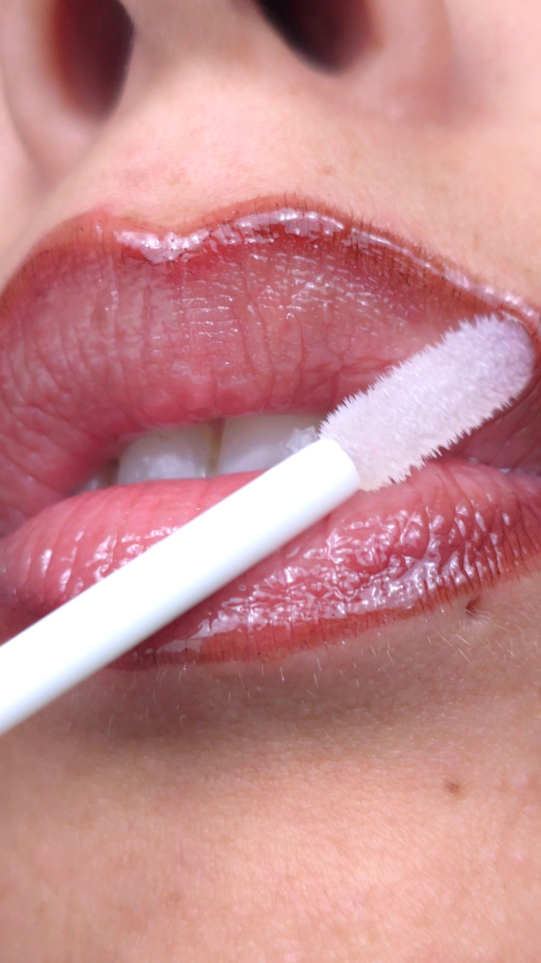 Veil Plumping | Warm Earthy Brown Ombré Lip System