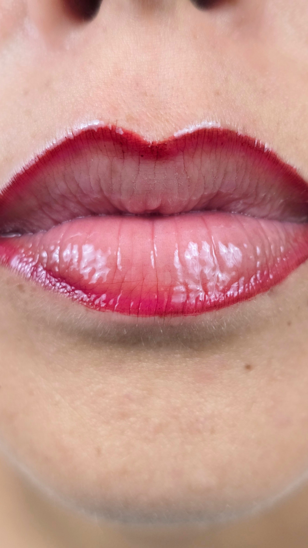 Rogue Plumping Gloss | The Ombré Effect Lip System